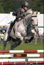 Show Jumping Newbury