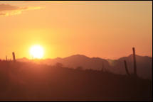 Sunset in the Sonora Desert, Arizona