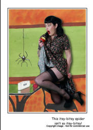 Thsi itsy-bitsy spider isn't so itsy-bitsy!